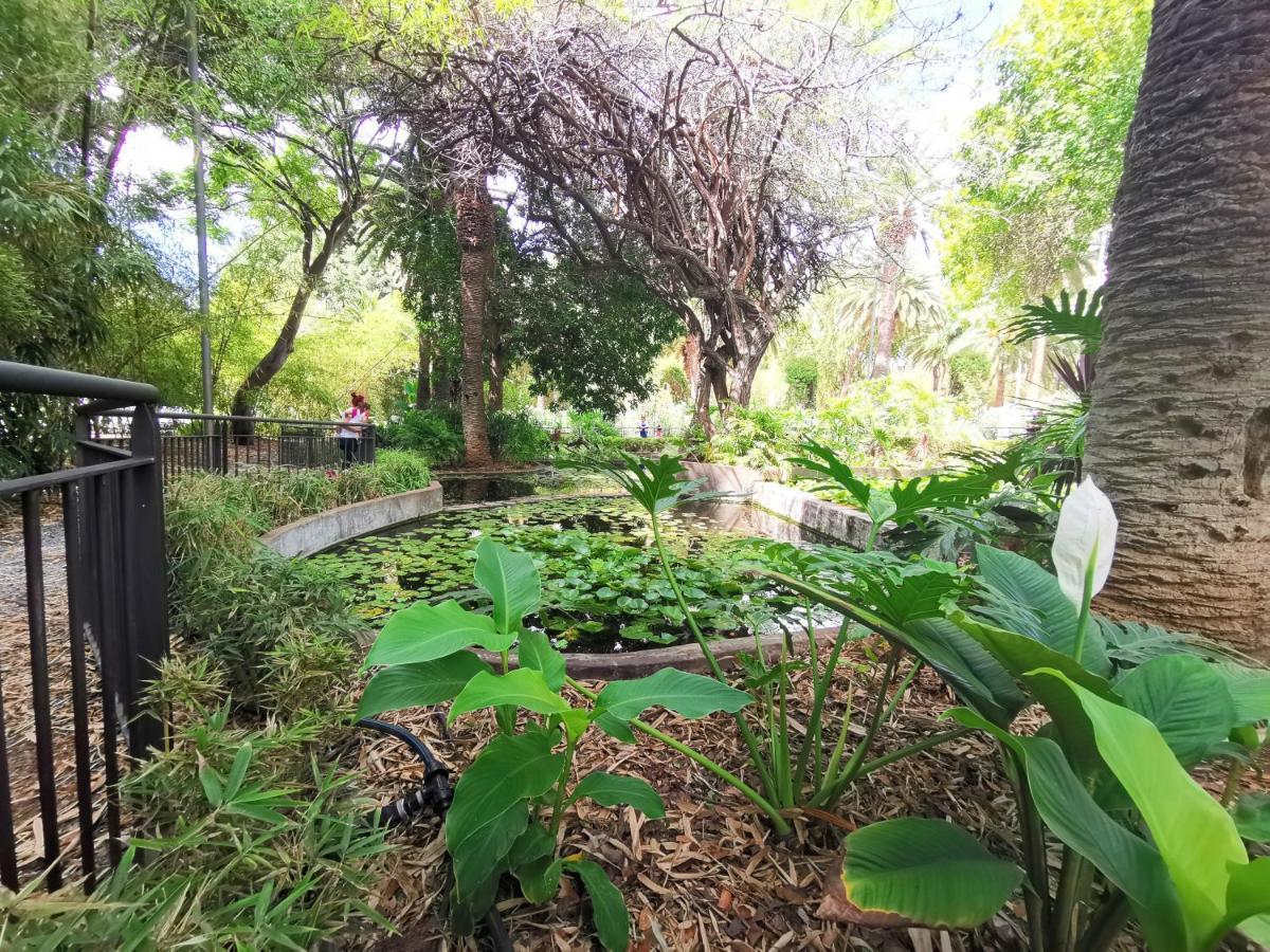 Home2Book Pretty Center Santa Cruz Apartment 외부 사진